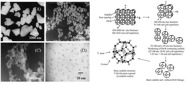 ��֯�����